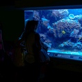 frauen-kinder-aquarium.jpg