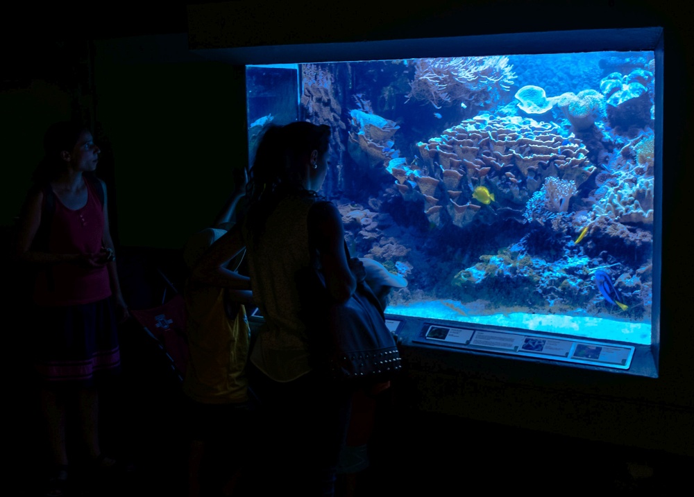 frauen-kinder-aquarium.jpg
